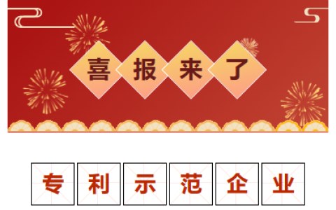 喜報(bào)！金華市專(zhuān)利示范企業(yè)！